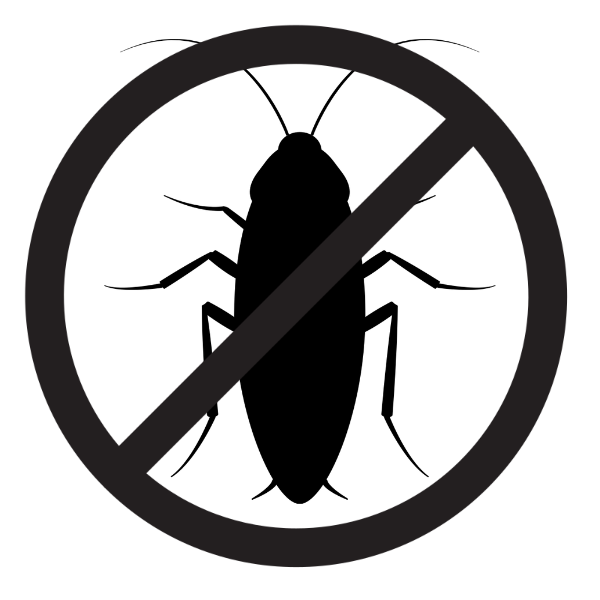 svg
