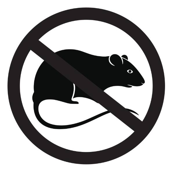 svg